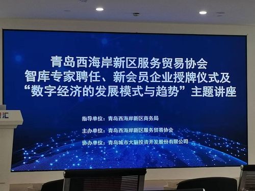 黄海学院创新创业学院 信息技术咨询服务的实践探索与育人价值